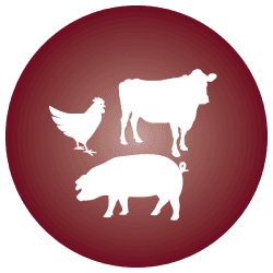 Meat & Seafood - 90127_Icon_MeatandPoultry.png